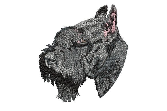 Giant Schnauzer